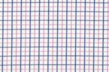 Pink and blue small checks