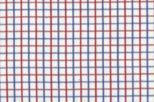 Blue and red small checks