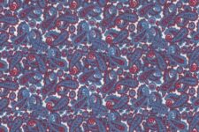 Blue and red paisley