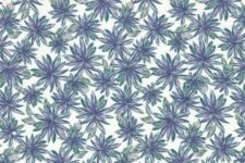 Purple leaves