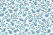 Light blue paisley